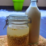 DESER Z KOMOSĄ RYŻOWĄ (QUINOA)