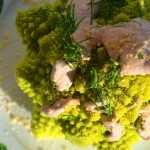 KREM Z DYNI MUSCAT I POMARAŃCZY