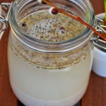 WEGAŃSKA BIAŁA „KIEŁBASA” Z KOKOSOWYM SOSEM CHRZANOWYM