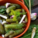 GOŁĄBKI Z LIŚCI KALAREPY Z KASZĄ JAGLANĄ I SOCZEWICĄ