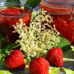 MIELONE Z GRYKI, GRZYBÓW I PŁATKÓW OWSIANYCH Z CZERWONĄ COLESLAW I PUREE Z ZIEMNIAKÓW I KALAFIORA