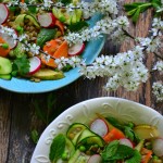 KOTLETY Z JAGLANEJ, FASOLI, BOTWINKI I PIECZONYCH BURAKÓW