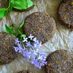 BROWNIE Z CIECIERZYCĄ, SOCZEWICĄ I PASTERNAKIEM