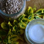 MAKARON Z PASTĄ Z BOBU I AWOKADO