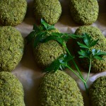 MUSUJĄCY NAPÓJ Z OWOCÓW I KWIATÓW DZIKIEGO BZU