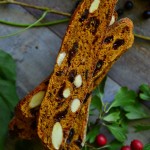 MALINOWO-CZEKOLADOWA PANNA COTTA Z SOSEM ŚLIWKOWYM