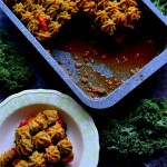 SEJNEŃSKIE SOCZEWIAKI