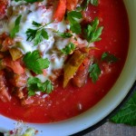 LEKSYKON ZIÓŁ – BLUSZCZYK KURDYBANEK