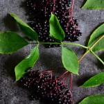 ZIELONE LODY Z SOSEM Z SUROWEGO KAKAO