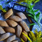 ŚWIĘTOKRZYSKIE PIGOŁY