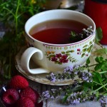 WEGAŃSKI PIERÓG BIŁGORAJSKI