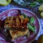 ŚWIĘTOKRZYSKIE PIGOŁY