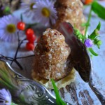 PONADREGIONALNA ZUPA DYNIOWA