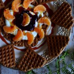 WEGAŃSKIE BIESZCZADZKIE KNYSZE