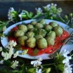 KLUSKI Z POWIŚLAŃSKĄ ŚLIWKĄ W OCCIE