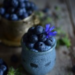 WEGAŃSKIE MAGDALENKI