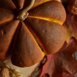 BIGOS NOWO(STARO)POLSKI ;)