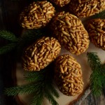 BECOK PO CIESZYŃSKU