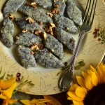 WIELKOPOLSKA SZABELKÓWKA