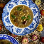 SÓJKA GŁOWACZOWSKA