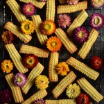 KLASYKI PRL W WERSJI ROŚLINNEJ